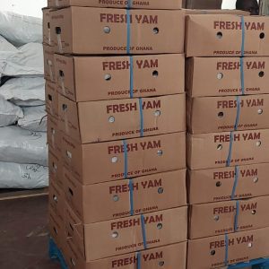 Yame 20kg